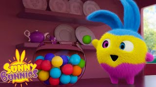 SUNNY BUNNIES  Multicolor Bunnies  Season 5  Cartoons for Children [upl. by Vernor]