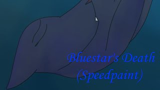 Bluestars Death Speedpaint [upl. by Mirabella114]