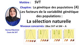 Cours SVT Bac Biof génétique des populations 4 facteurs de variabilité  sélection naturelle [upl. by Narej40]