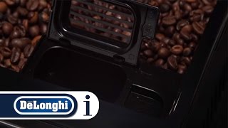 How to make coffe using preground coffee with Your De Longhi Autentica ETAM 29510SB [upl. by Einhpad]