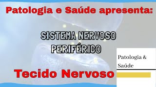 Tecido Nervoso Histologia do Sistema Nervoso Periférico [upl. by Kiryt403]