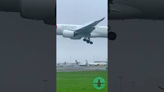 What Makes A330 Neo Fog Effect So AMAZING [upl. by Adleme]