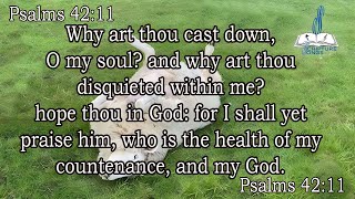 Psalm 4211 Memorizing Ps 4211 by song KJV [upl. by Groome639]