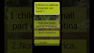 Valdivian temperate rain forest adventure animalsnature strangeanimal [upl. by Madlin]