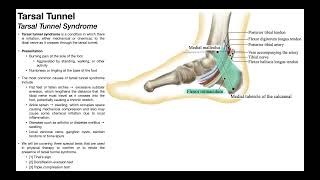 Tarsal Tunnel Syndrome  Clinical Anatomy amp Presentation [upl. by Rodolph]