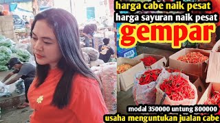 harga cabe naik terus hari inisayuran usahamenjanjikan jualan cabe13 des 2024 [upl. by Merp]