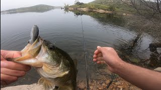 Fishing Lake Poway for Bass [upl. by Wahlstrom421]