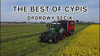 🚨THE BEST OF CYPIS🤯SECIK DLA OPOROWCÓW🚨VOL3 [upl. by Octavie895]