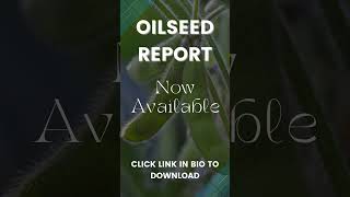 Oilseed Report [upl. by Claudine]