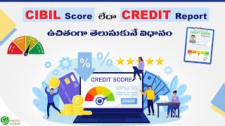 Free CIBIL Score  Credit Report [upl. by Erihppas]