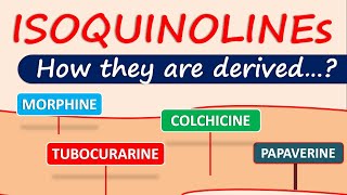 Isoquinoline alkaloids and drugs  How they are derived in plants [upl. by Ylen]