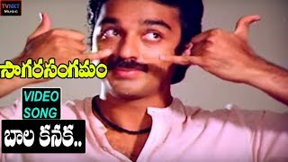 SankarabharanamTelugu Movie Songs  Bala Kanaka Mayachela Video Song  TVNXT [upl. by Can]