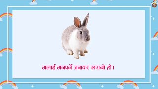 मनपर्ने जनावरको बारेमा निबन्ध  Essay on favourite animal  Essay on rabbit  kidsvideo [upl. by Aytnahs865]