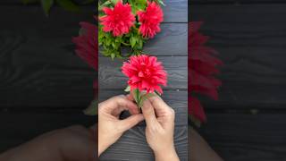 Crepe Paper Flowers An Easy Tutorial for Stunning Results shorts [upl. by Las]