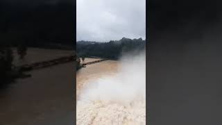 Karnataka Linganamakki dam amp Sharvathi valley please subscribe amp Like [upl. by Evangelist937]