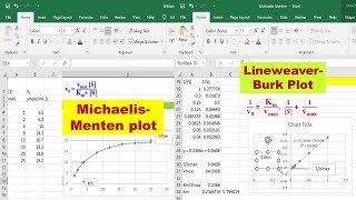 MichaelisMenten amp LineweaverBurk Plots in Excel  Calculate Vmax and Km using MS Excel  Enzyme 18 [upl. by Jania]