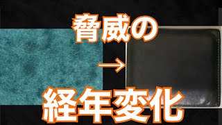 レンマ lemma マリスコ ペトローリオ レビュー 革財布 レンマ lemma マリスコ ペトローリオ プエブロレザー コンパクト財布 ココマイスター メンズ財布 レザーアイテム [upl. by Saffian9]