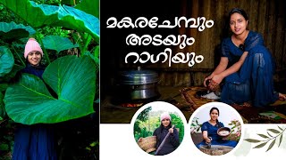 മകര ചേമ്പ് അട മുതൽ റാഗി കൊയ്യൽ വരെ ഒരു ദിവസം Kerala Village life  Day in my lifeMalayalam [upl. by Johnstone]