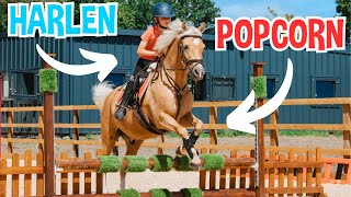 HARLEN AND POPCORN A FUTURE SHOWJUMPER [upl. by Ettenoj]