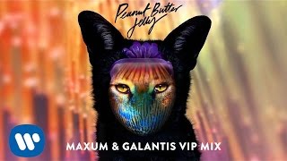 Galantis  Peanut Butter Jelly Maxum amp Galantis VIP Remix [upl. by Demah932]