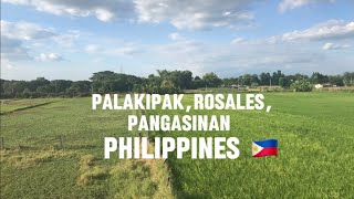 PalakipakRosales Pangasinan Philippines 🇵🇭 [upl. by Noret257]