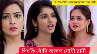 রানীর কাছে হাতেনাতে ধরা পড়ে গেল আনিসা রানীকে বলে দিল পিংকি বৌদি আসল দোষী 😱 তোমাদের রানী আজকের পর্ব [upl. by Yaj]