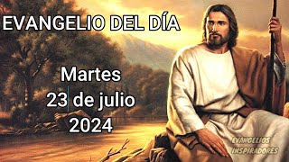 Evangelio del día Martes 23 de julio 2024 HOY  San Juan 15 1  8 [upl. by Haramat]