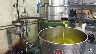 Fabrication de lhuile dolive vierge  Virgin olive oil making  Speracedes France soustitres [upl. by Hephzibah92]