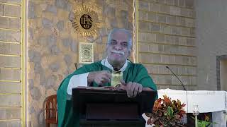 Friday October 11 2024 Homily [upl. by Ninnetta]