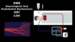 Spectrum Medicals Dual Chamber Oxygenator Technology for ECLS [upl. by Ecadnarb]