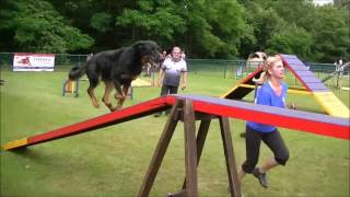 Agility  Beauceron Jethan  highlights 2016 [upl. by Leiahtan]