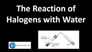 The Reaction of Halogens with Water  Periodic Table [upl. by Rawdon]