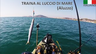 Traina al luccio di mare aluzzo con esche artificiali [upl. by Jay]