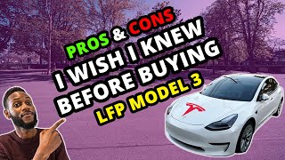 First 1000 Miles with New LFP 2021 Tesla Model 3  Pros amp Cons  MUST WATCH [upl. by Stephenie]