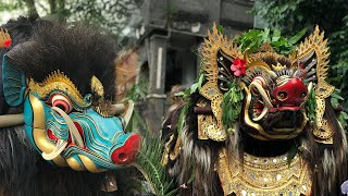 Barong Bangkung  quotMepetuk Agungquot [upl. by Kilgore]