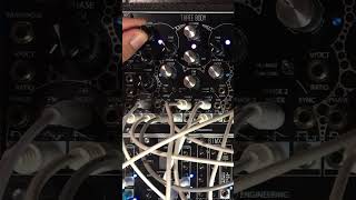 Schlappy Muxlicing synth modularsynth eurorack [upl. by Malita114]