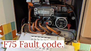 Vaillant Ecotec Pro F75 Fault [upl. by Zzahc]