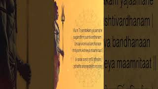 108 Times Maha Mrityunjaya Mantra Chanting  Powerful Healing and Protection Mantra  shorts [upl. by Demetri]