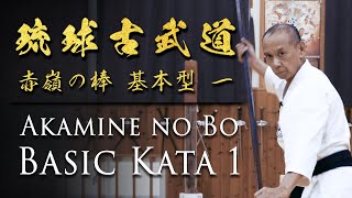 Bo Kata Training  Ryukyu Kobudo Grand Master  Shimbukan  Ageshio Japan [upl. by Grindle934]