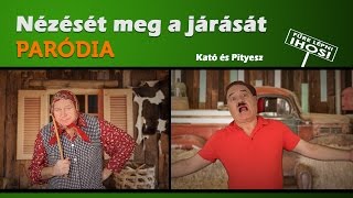 Mert a nézését meg a járását  Kató és Pityesz PARÓDIA [upl. by Ransell]