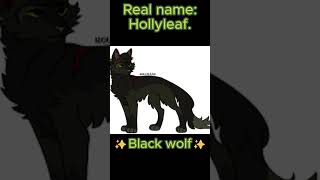 My sister guesses Warrior Cats Her channel SOMNABELLA  funny warriorcats trending [upl. by Drewett549]