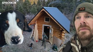 Log Cabin Build on OffGrid Homestead EP38 DOG MOVEIN WOODSHED FOUNDATION [upl. by Simpson]