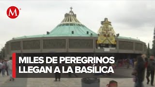 Llegan peregrinos a la Basílica de Guadalupe prevén afluencia de más de 11 millones de personas [upl. by Nitnert910]