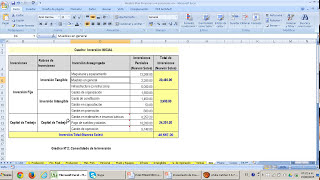 PLAN FINANCIERO DE PROYECTO DE INVERSIÓN PRIVADO [upl. by Lulita]