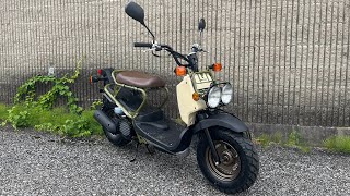 2024 Honda Ruckus  Reputation Exceeding the Common Eye [upl. by Atsedom828]