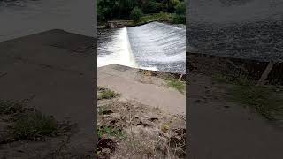 Visit to the Weir River Severn Shrewsbury on Monday evening [upl. by Ahsitul]