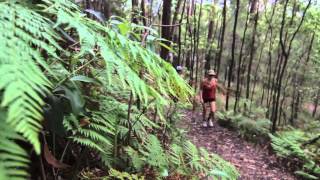 The Great Noosa Trail Walk [upl. by Novaelc325]