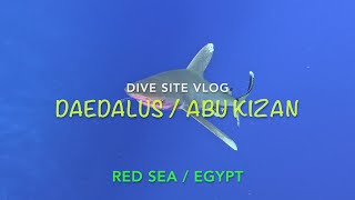 Dive Site Vlog  Daedulus  Abu Kizan  Red Sea Egypt [upl. by Akcira]