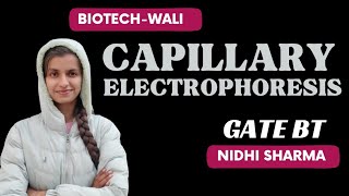 CAPILLARY ELECTROPHORESIS  Analytical TechniquesBIOTECHWALI iit [upl. by Noirod]