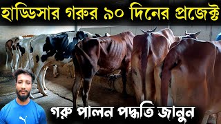 শুকনো হাড্ডিসার গরু মোটাতাজা করন পদ্ধতি শিখুন  শাহিওয়াল গরু পালন পদ্ধতি  গরুর জাত চেনার উপায় কি [upl. by Annaj]